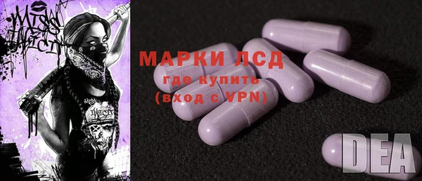 метадон Богданович