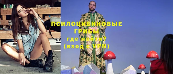 стафф Богородицк